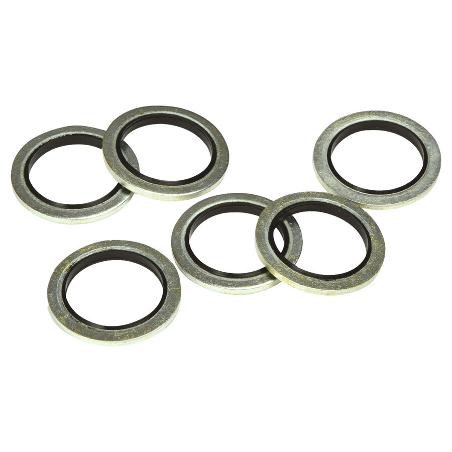 Guarnizione tappo coppa olio - AUTOBEST