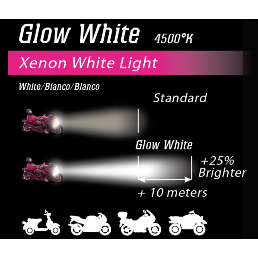 Lampadina moto alogena Xenon Glow H7 - BRYTE | Bep's