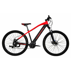 Bicicletta elettrica Mountain Bike 29 - COPPI COPPI in vendita su Bep's