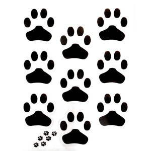 GAT - Adesivi Orme - GAT - Adesivi