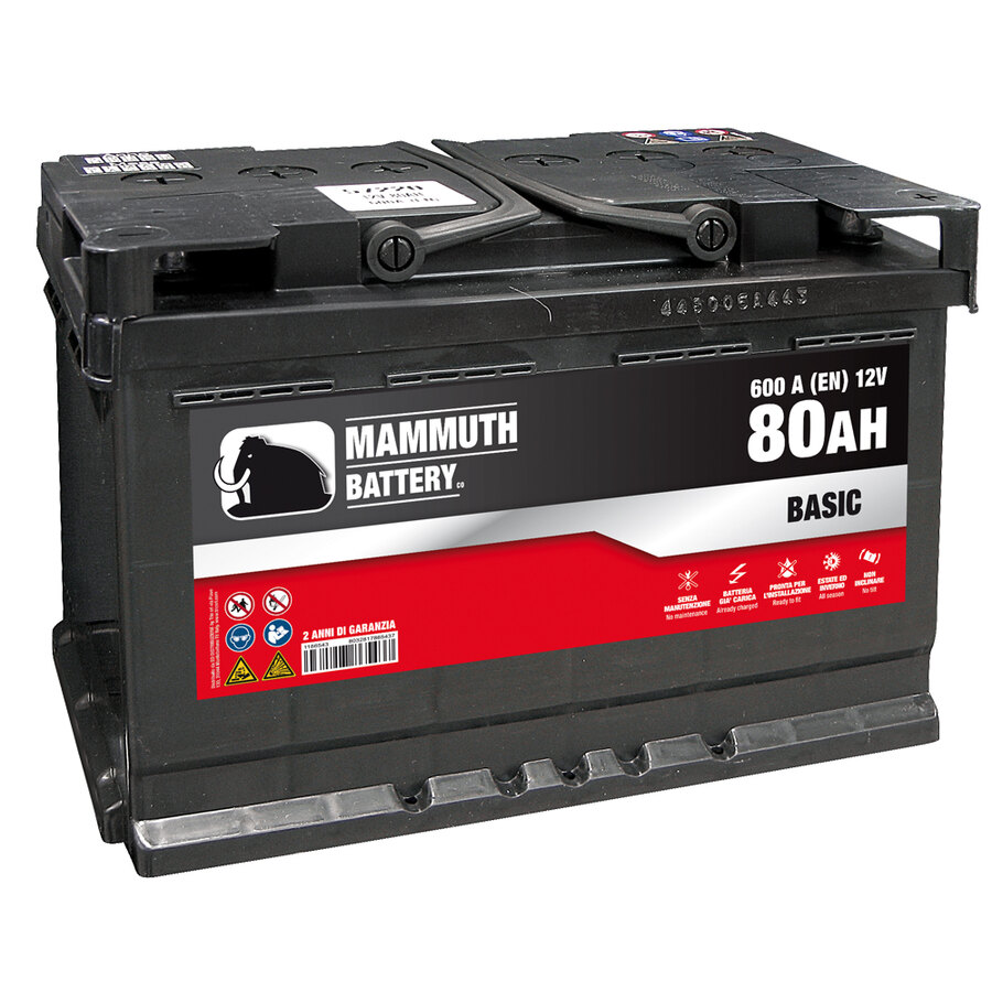 Batteria auto tradizionale - MAMMUTH