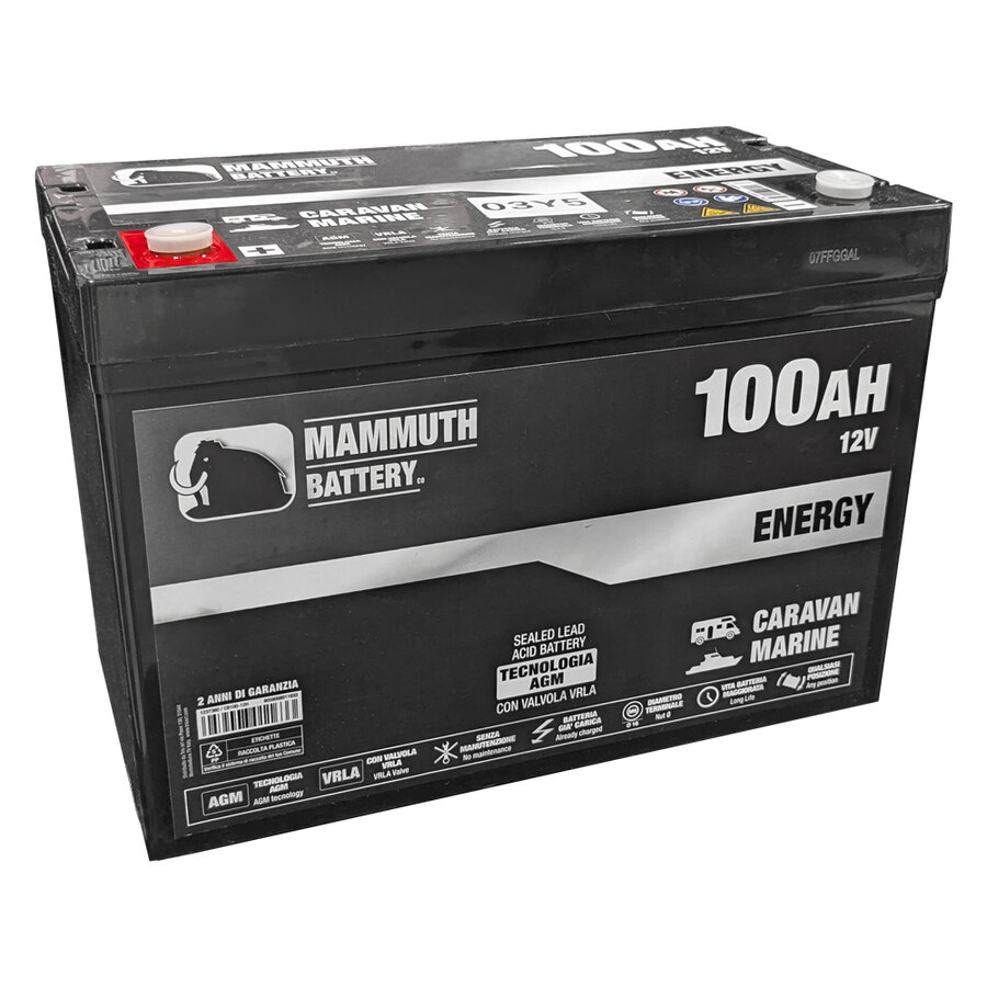 Batteria servizi SLA - MAMMUTH