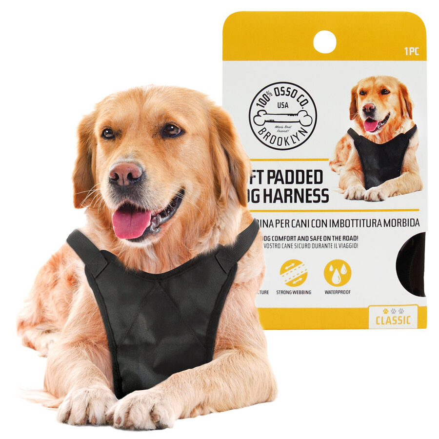 Pettorina di sicurezza Classic - OSSO