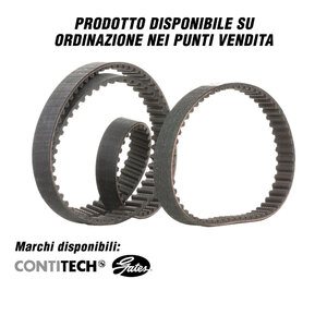 RICAMBI VARI - Cinghie - RICAMBI VARI Alfa Romeo, Audi, Bmw, Chevrolet, Chrysler, Citroen, Dacia, Daewoo, Daihatsu, Dodge - Cinghie