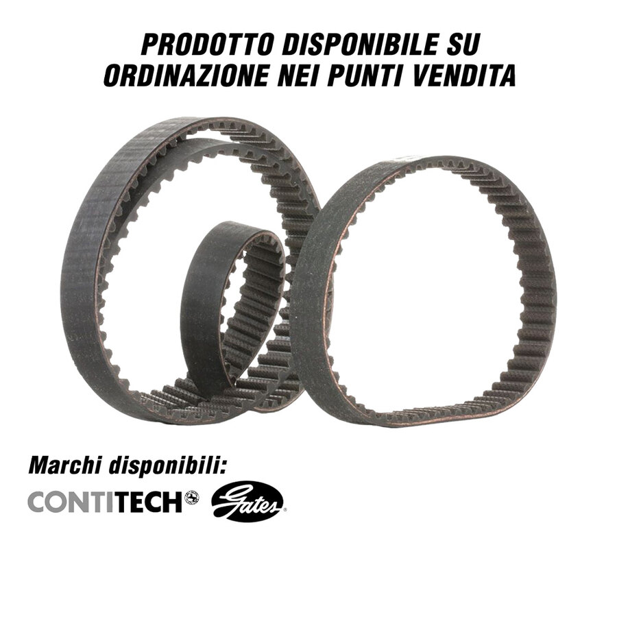 Cinghie - RICAMBI VARI Alfa Romeo, Audi, Bmw, Chevrolet, Chrysler, Citroen, Dacia, Daewoo, Daihatsu, Dodge