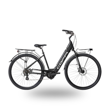 Biciclette adulto