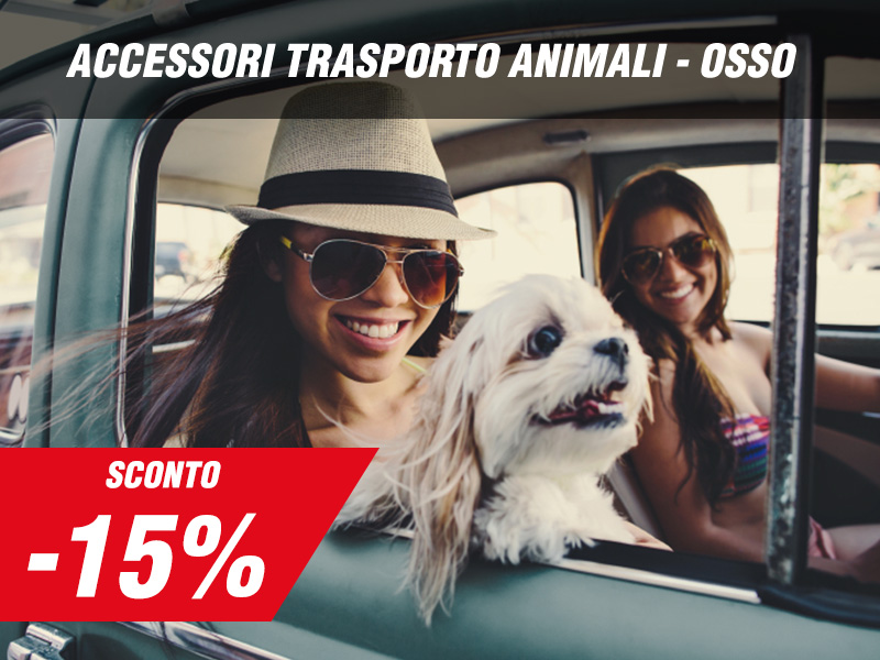 cane con muso fuori dal finestrino