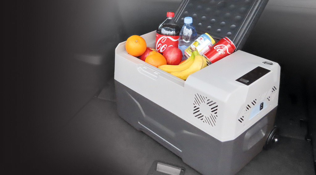 Logica: Frigorifero e congelatore portatile
