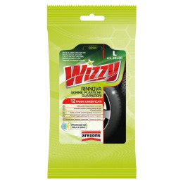 Cruscotto pulitore Wizzy Rinnova gomme, plastiche e guarnizioni - AREXONS