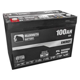 Batteria servizi SLA - MAMMUTH