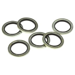 Guarnizione tappo coppa olio - AUTOBEST