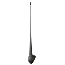 AM-FM Classica Tetto - PHONOCAR