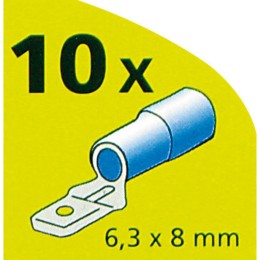 Capicorda Piatti maschio - LAMPA
