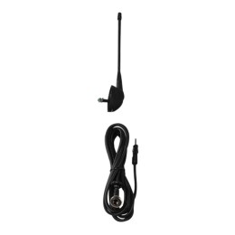AM-FM Classica - LAMPA