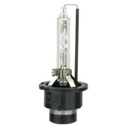 Lampadine D2S D2S - LAMPA