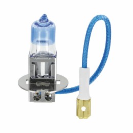 Lampadine Altri Attacchi Xenon Plus - LAMPA