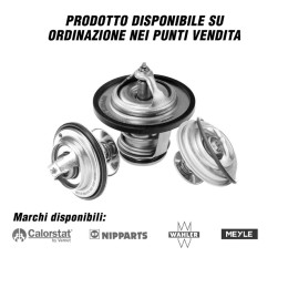 Termostato Alfa Romeo, Audi, Bmw, Chevrolet, Chrysler, Citroen, Dacia, Daewoo, Daihatsu, Dodge - RICAMBI VARI