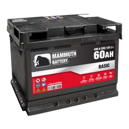 Batteria auto tradizionale - MAMMUTH