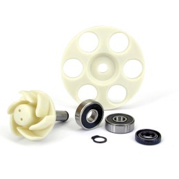 Kit revisione pompa acqua - TNT